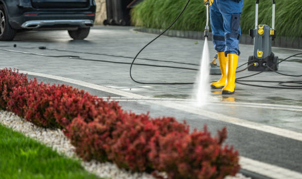 Professional Pressure Washing Services in Cape Charles, VA